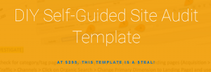 Annie Cushing - the Annielytics Site Audit Template