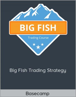 Basecamp - Big Fish Trading Strategy