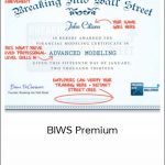 Breaking into Wall Street - BIWS Premium