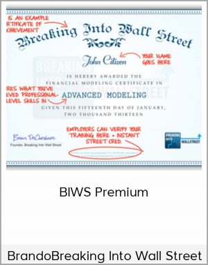 Breaking into Wall Street - BIWS Premium