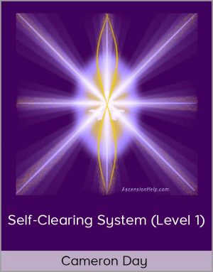 Cameron Day - Self-Clearing System (Level 1)