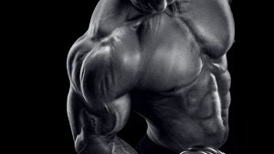 Christian Thibaudeau - Maximum Muscle Mass Program