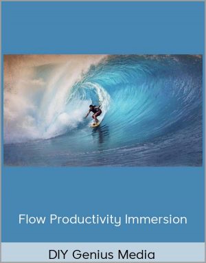 DIY Genius Media - Flow Productivity Immersion