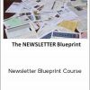 Dan Kennedy - Newsletter Blueprint Course