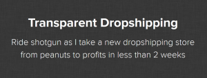 Danny Roars - Transparent Dropshipping