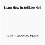 Dave Kaminski - Kaizen Copywriting System