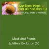 David Crow - Medicinal Plants & Spiritual Evolution 2.0