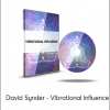 David Synder - Vibrational Influence