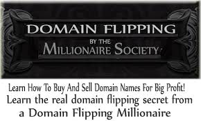 Domain Flipping By The Millionaire Society