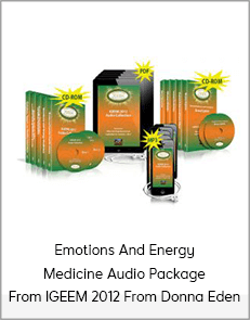 Emotions And Energy Medicine Audio Package From IGEEM 2012 From Donna Eden