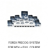 FOREX PRECOG SYSTEM FOR MT4 + FULL COURSE