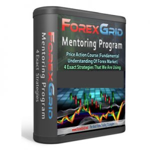 Forex Grid Mentoring Program