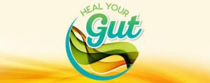 Heal Your Gut Summit 2016