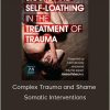 Janina Fisher, PhD - Complex Trauma and Shame - Somatic Interventions