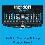 Jason Capital - Elite Mentor Summit 2017 + Audio Recordings