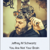 Jeffrey M Schwartz - You Are Not Your Brain