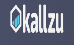 Kallzu - F.A.M. Facebook Agency Machine