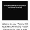 Katherine Crowley - Working With You Is Killing Me: Freeing Yourself From Emotional Traps At Work