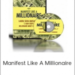 Laura Silva - Manifest Like A Millionaire