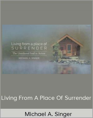 Michael A. Singer - Living From A Place Of Surrender