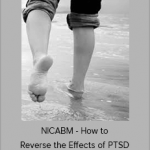 NICABM - How to Reverse the Effects of PTSD