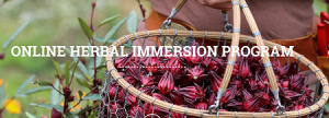 ONLINE HERBAL IMMERSION PROGRAM