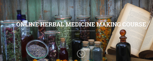 ONLINE HERBAL MEDICINE MAKING COURSE