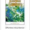 Paul R. Scheele - Effortless Abundance