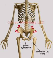 Postural Restoration Institute - Pelvis Restoration 2017