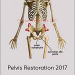 Postural Restoration Institute - Pelvis Restoration 2017