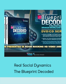 Real Social Dynamics - The Blueprint Decoded