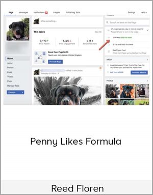 Reed Floren - Penny Likes Formula