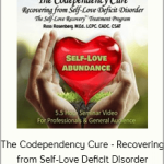 Ross Rosenberg - The Codependency Cure - Recovering from Self-Love Deficit Disorder