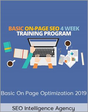 SEO Intelligence Agency - Basic On Page Optimization 2019