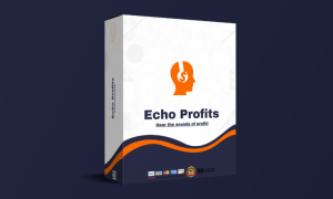 Sasha Ilic - Echo Profits