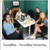 SocialBee – SocialBee University