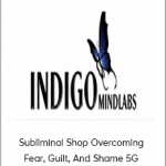 Subliminal Shop Overcoming Fear, Guilt, And Shame 5G