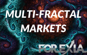 The Multi-Fractal Markets Educational Course