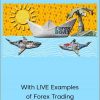 Udemy - Forex Trading A-Z - With LIVE Examples of Forex Trading