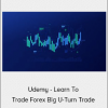 Udemy - Learn To Trade Forex Big U-Turn Trade