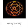 WarriorSage - Living Ecstasy