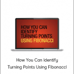 Wayne Gorman - How You Can Identify Turning Points Using Fibonacci