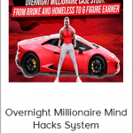 Wesley Virgin - Overnight Millionaire Mind Hacks System