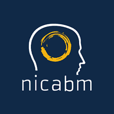 NICABM - How To Work With Shame