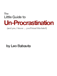 Leo Babauta - Unprocrastinate Interviews