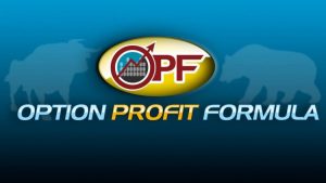 Travis Wilkerson - How To Trade Stock Options - Profiting in Up & Down Markets