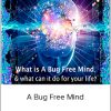 A Bug Free Mind - Andy Shaw