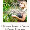 A Flower's Power: A Course In Flower Essences