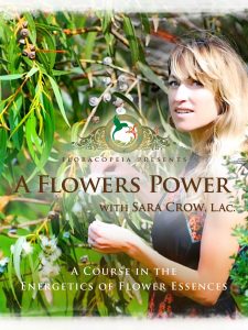 A Flower's Power: A Course In Flower Essences