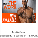 Amoila Cesar - Beachbody - 6 Weeks of THE WORK